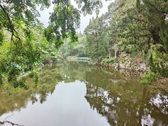 -叶家花园
