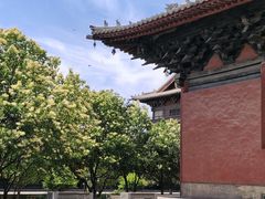 -善化寺