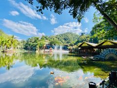 -西双版纳原始森林公园