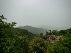 -王顺山国家森林公园