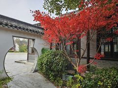 -同里国家湿地公园