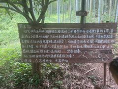-东明山森林公园