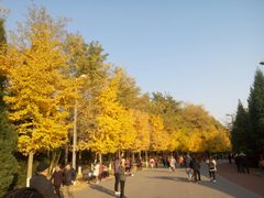 -奥林匹克森林公园南门-停车场