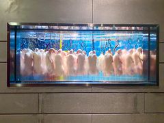 -悦江(梅奔中心店)