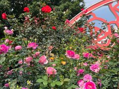 -人民公园(罗湖区)