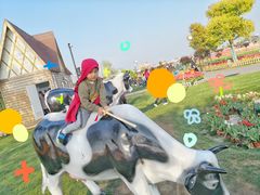 -荷兰花海