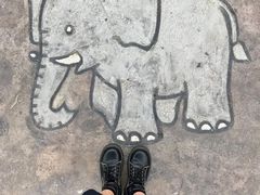 -灵玲国际马戏城