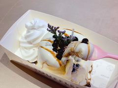 -狐狸和向日葵(北京路店)