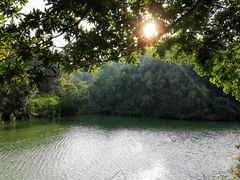 -中山市树木园