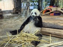 -海南热带野生动植物园