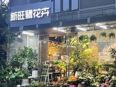 -溪岸路花鸟市场