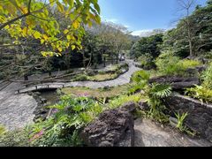 -深圳仙湖植物园