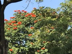 -白鹭洲公园