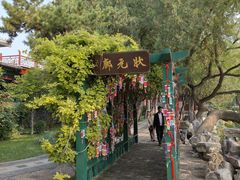 -莲池书院博物馆
