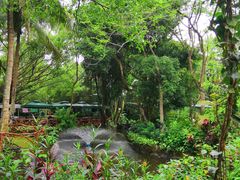 景点-海南热带野生动植物园
