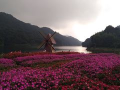 -广州市石门国家森林公园