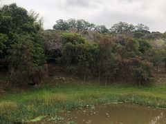 -立新湖公园