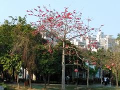 -惠州西湖丰渚园