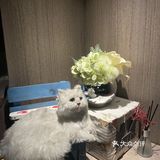 你们不来吃这鱼头我真的会谢！