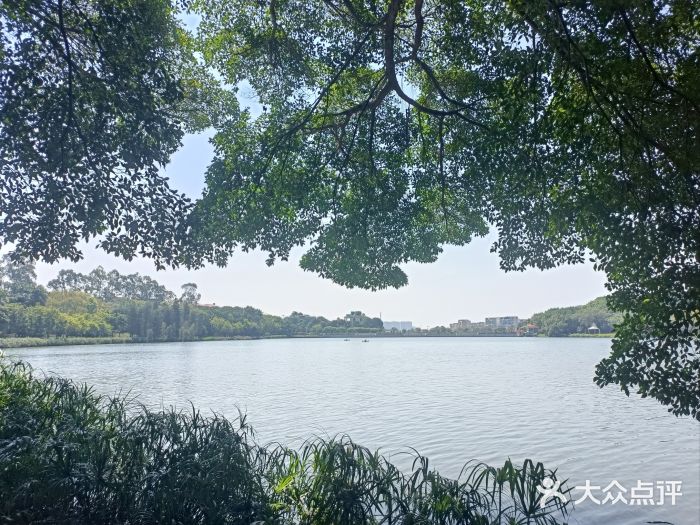 南国桃园旅游度假区图片