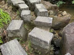 -广州白江湖森林公园