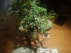 -CURRY YA 熟成咖哩專門店(深圳湾万象城店)
