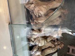 -瓦房兔(璧山店)