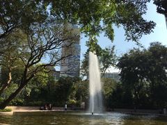 -九龙公园