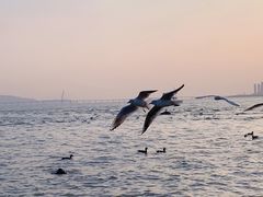 -深圳湾公园(南山区)