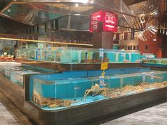 -阿伟海鲜楼·福建菜(延寿店)