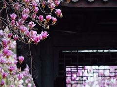 -嘉北郊野公园