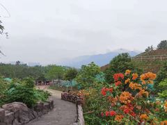 -清远静山湖景区
