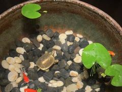 -曲水兰亭(北京四惠店)