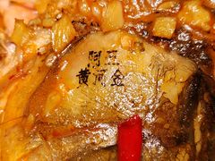 -阿五黄河大鲤鱼(英协路店)