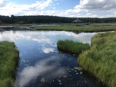 -塞罕坝国家级自然保护区