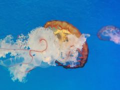 -正佳极地海洋世界