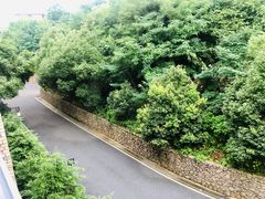 -桐庐海博大酒店中餐厅