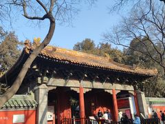 -北京国子监胡同