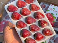 -中国石化黄河大道加油站