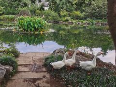 -杭州雅谷泉山庄酒店-餐厅