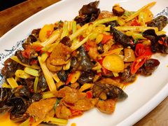 泡椒仔姜鲜牛肝-伊兰麒兰馨园·川菜·清真馆(339电视塔店)