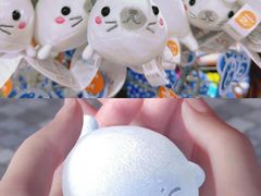 -太平洋海底世界