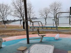 -贡湖湾湿地公园