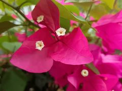 -KK ONE(京基滨河时代店)