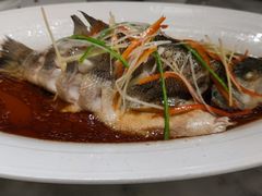 清蒸鲈鱼-雀蓝川菜(奥体广场店)