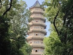 -灵谷景区