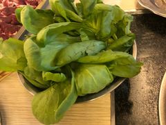 蓬蒿菜-月圆火锅(宁海东路二店)
