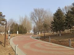 -莫子山公园