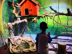 -华夏文旅海洋公园