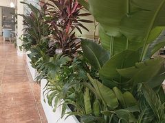 -西安国际创新人才交流中心·地中海餐厅·潮汕牛肉火锅·欧陆花园烧烤